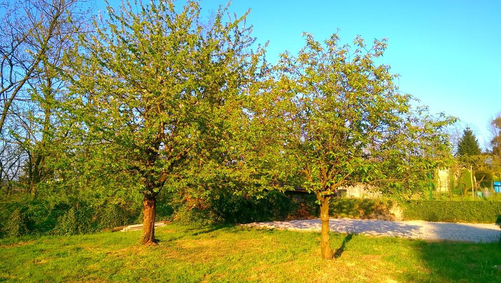 B&B Vinago Belvedere Mornago Bagian luar foto